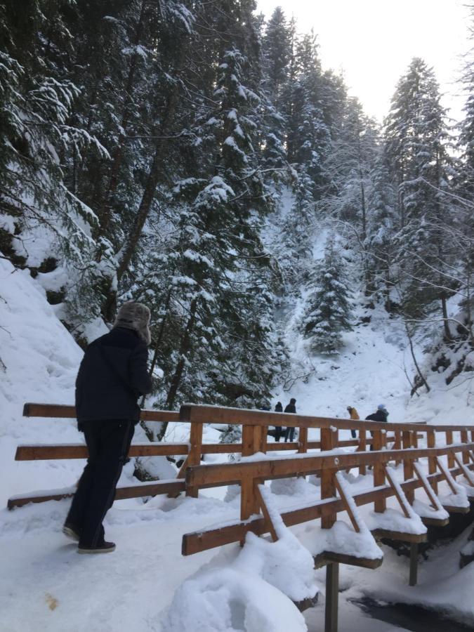 Рукавичка Yaremche Luaran gambar