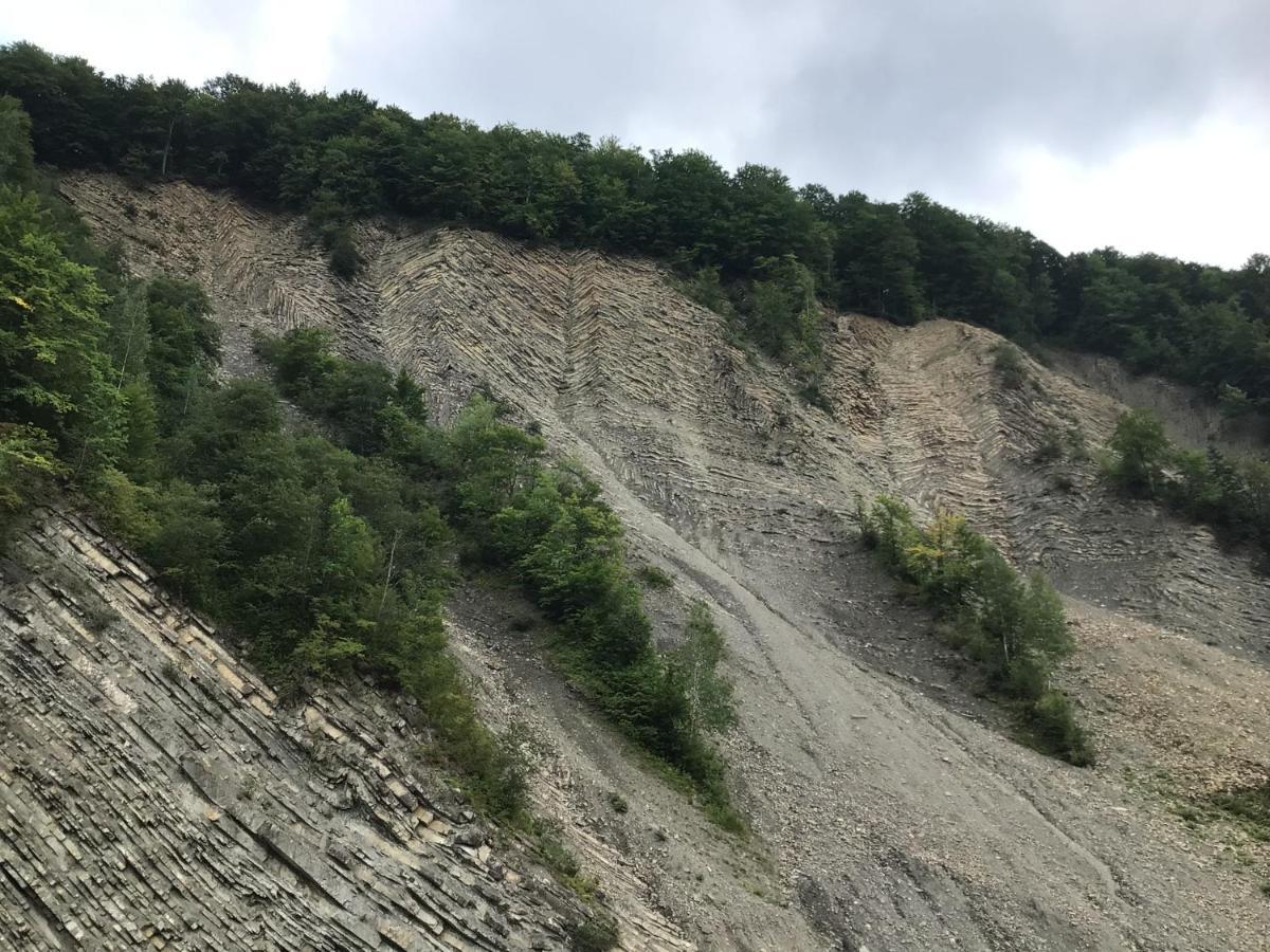 Рукавичка Yaremche Luaran gambar